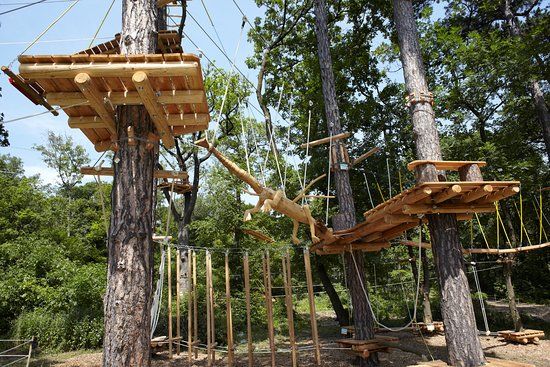 Waldseilpark Kahlenberg